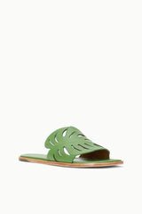 PALM SANDAL LEAF