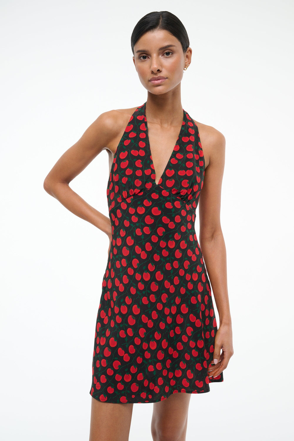 LUCCA MINI DRESS ON THE VINE BLACK
