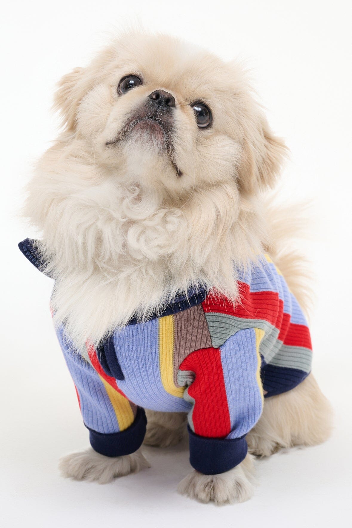 PET HAMPTON SWEATER MARKET STRIPE