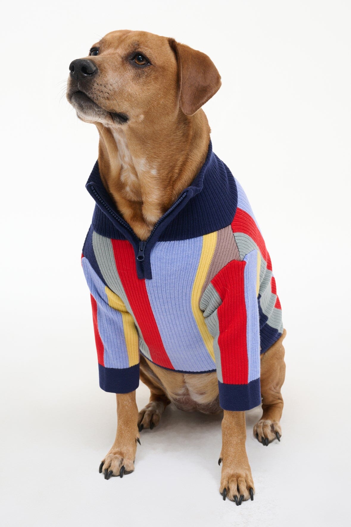 PET HAMPTON SWEATER MARKET STRIPE