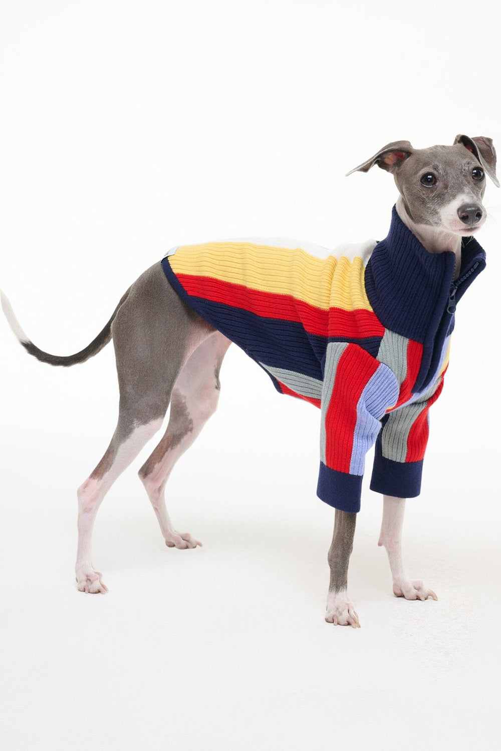 PET HAMPTON SWEATER MARKET STRIPE